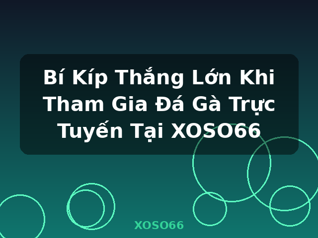 Bí Kíp Thắng Lớn Khi Tham Gia Đá Gà Trực Tuyến Tại XOSO66 - XOSO66