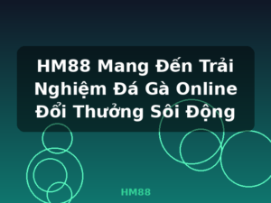 HM88 Mang Đến Trải Nghiệm Đá Gà Online Đổi Thưởng Sôi Động - HM88