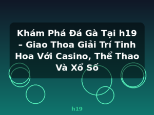Khám Phá Đá Gà Tại h19 – Giao Thoa Giải Trí Tinh Hoa Với Casino, Thể Thao Và Xổ Số - h19