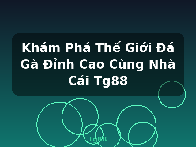 Khám Phá Thế Giới Đá Gà Đỉnh Cao Cùng Nhà Cái Tg88 - tg88