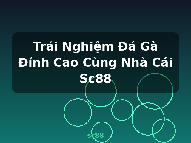 Trải Nghiệm Đá Gà Đỉnh Cao Cùng Nhà Cái Sc88 - sc88