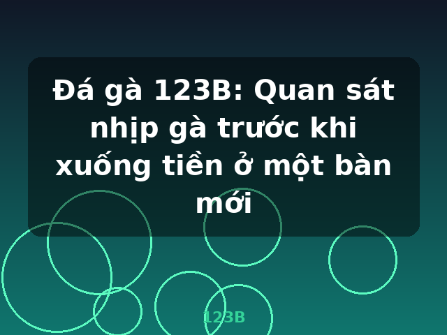 Đá gà 123B: Quan sát nhịp gà trước khi xuống tiền ở một bàn mới - 123B