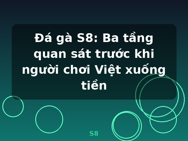 Đá gà S8: Ba tầng quan sát trước khi người chơi Việt xuống tiền - S8 Đá gà S8: Ba tầng quan sát trước khi người chơi Việt xuống tiền - S8