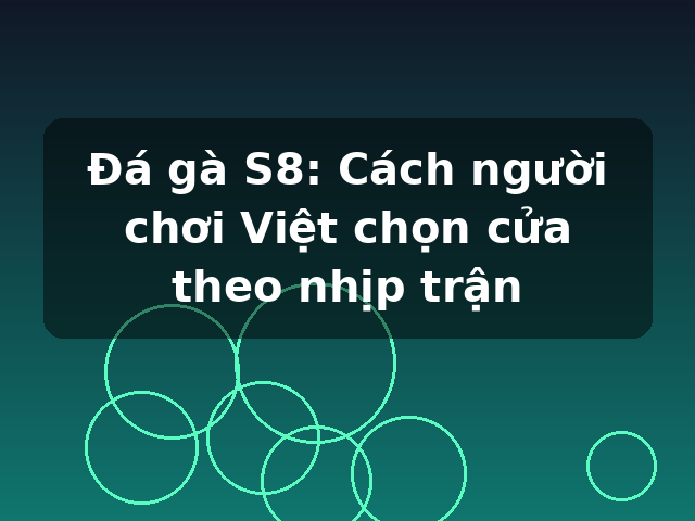 Đá gà S8: Cách người chơi Việt chọn cửa theo nhịp trận Đá gà S8: Cách người chơi Việt chọn cửa theo nhịp trận