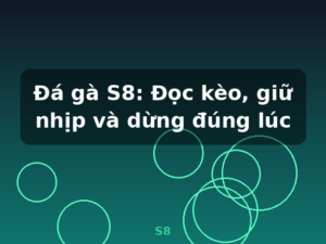 Đá gà S8: Đọc kèo, giữ nhịp và dừng đúng lúc - S8