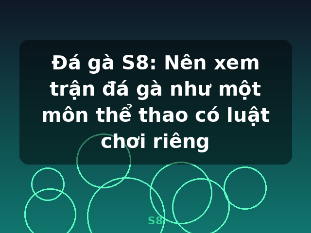 Đá gà S8: Nên xem trận đá gà như một môn thể thao có luật chơi riêng - S8 Đá gà S8: Nên xem trận đá gà như một môn thể thao có luật chơi riêng - S8
