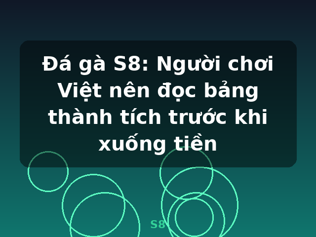 Đá gà S8: Người chơi Việt nên đọc bảng thành tích trước khi xuống tiền - S8 Đá gà S8: Người chơi Việt nên đọc bảng thành tích trước khi xuống tiền - S8