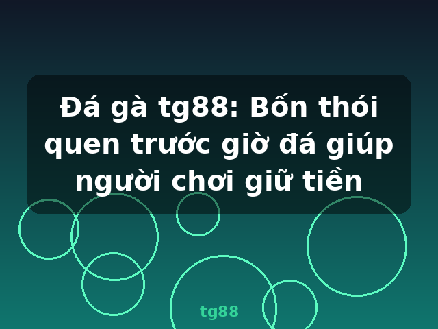 Đá gà tg88: Bốn thói quen trước giờ đá giúp người chơi giữ tiền - tg88
