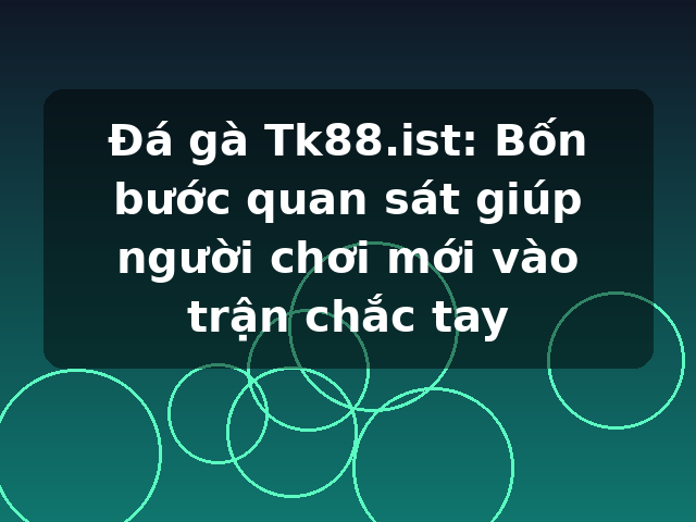 Đá gà Tk88.ist: Bốn bước quan sát giúp người chơi mới vào trận chắc tay
