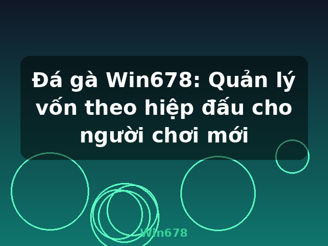 Đá gà Win678: Quản lý vốn theo hiệp đấu cho người chơi mới - Win678