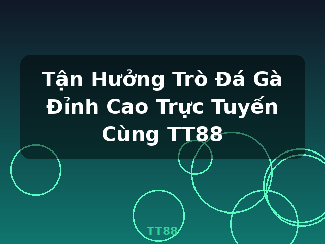 Tận Hưởng Trò Đá Gà Đỉnh Cao Trực Tuyến Cùng TT88 - TT88